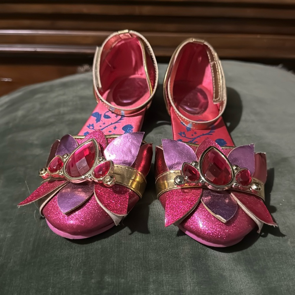 Disney Aurora shoes